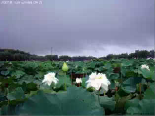 500_c54ea4ed-2ca6-40a4-8de4-6e8df1541ce9.jpeg