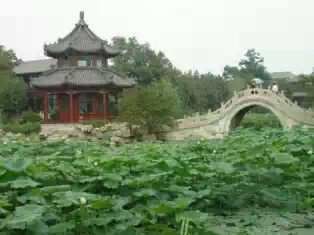 500_2010072216264468207.jpeg