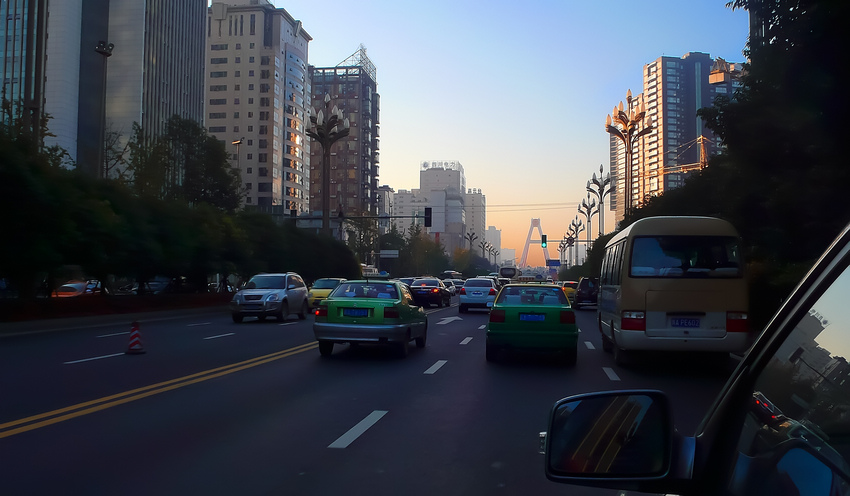 P1070786-1.jpg