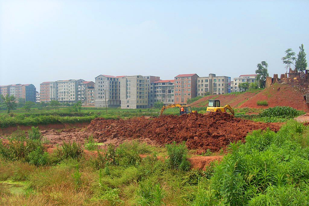 资阳市安岳县周礼镇图片