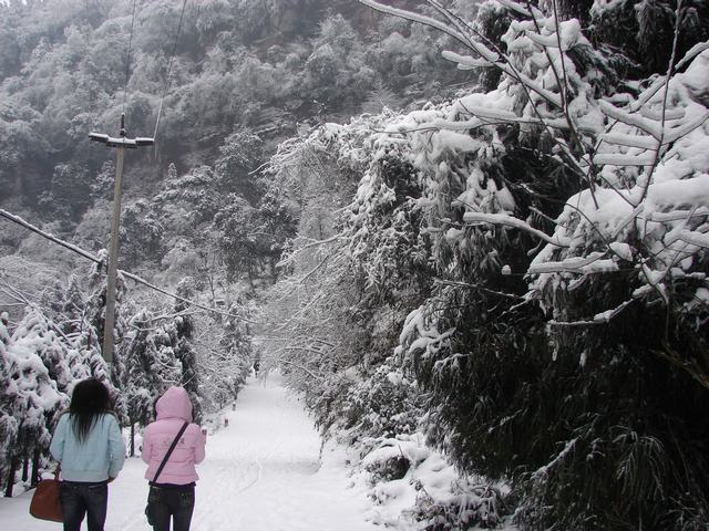 DSC00213.JPG
