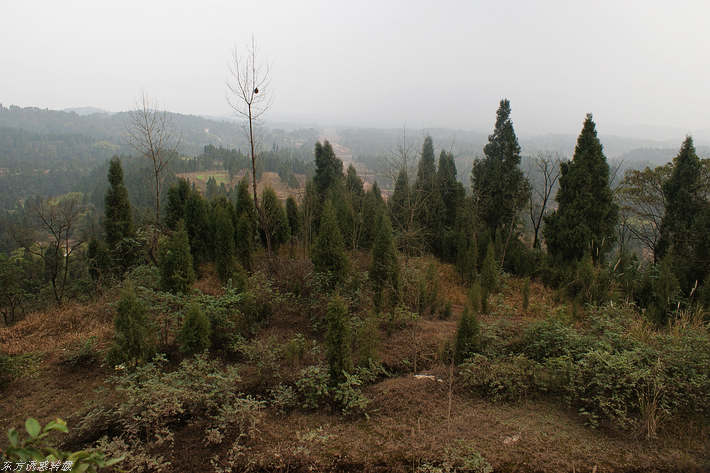 DSC00126.jpg