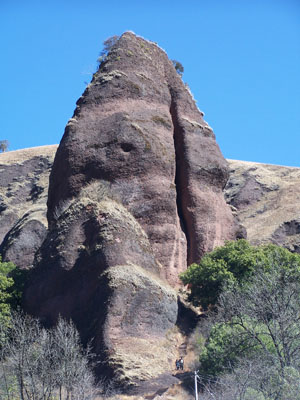 100_9021.jpg