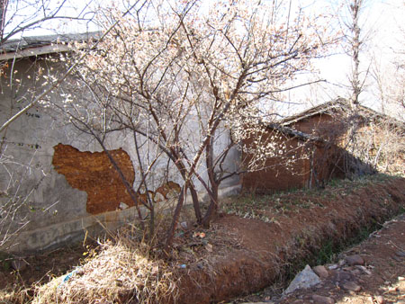IMG_0190.jpg