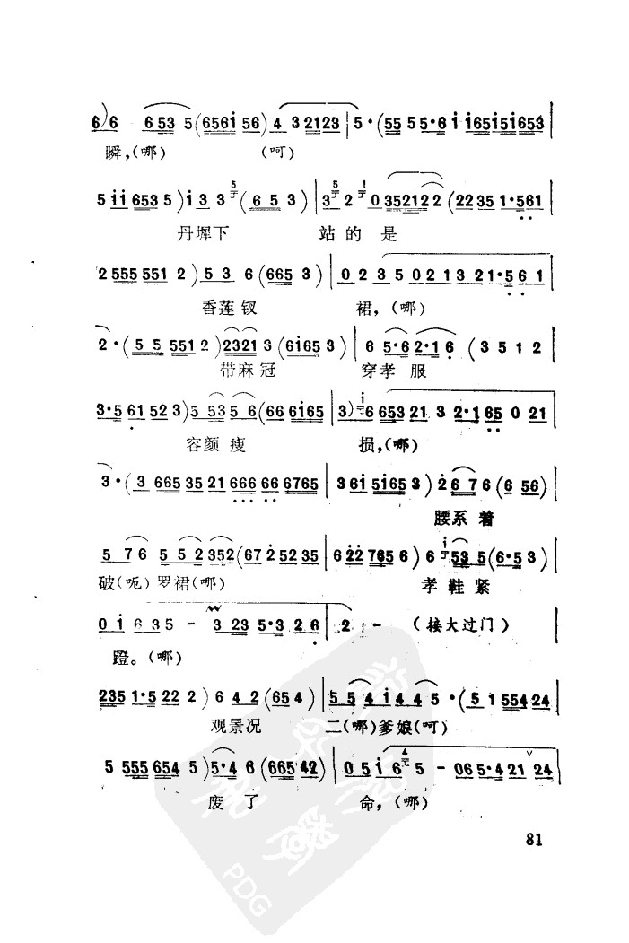 81.JPG