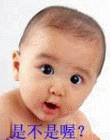 6.gif