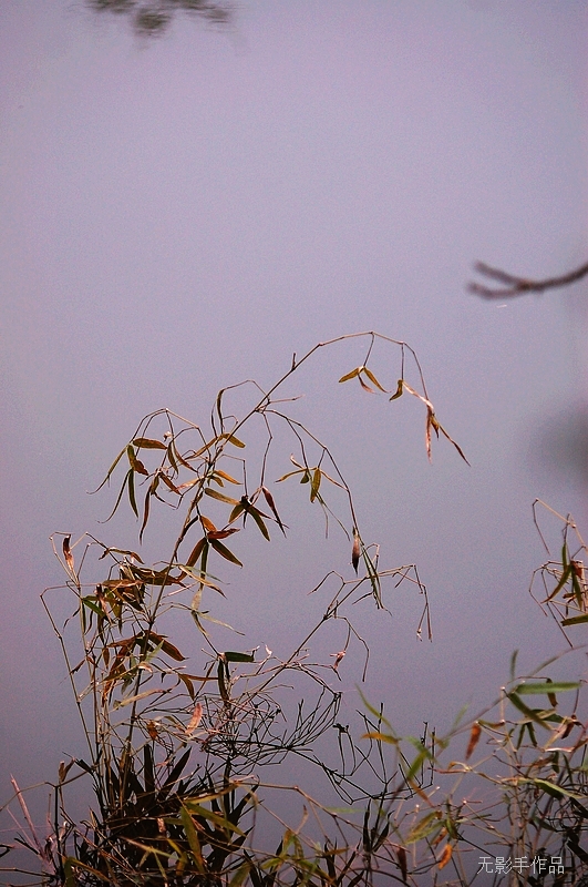DSC_0040.jpg