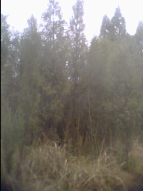IMG0640A.jpg