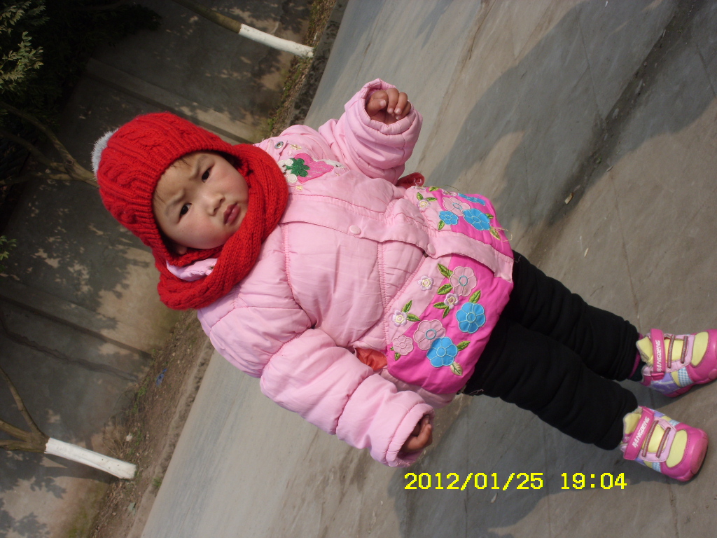 SDC16981.JPG