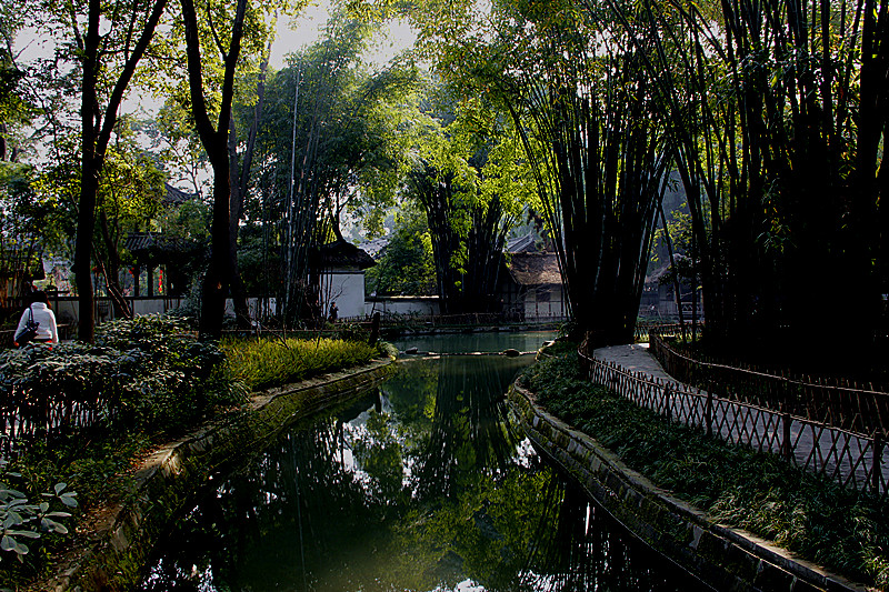 _MG_3263_.jpg