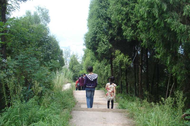 DSC00061_.jpg