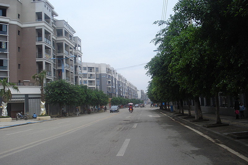 DSC00166_.jpg