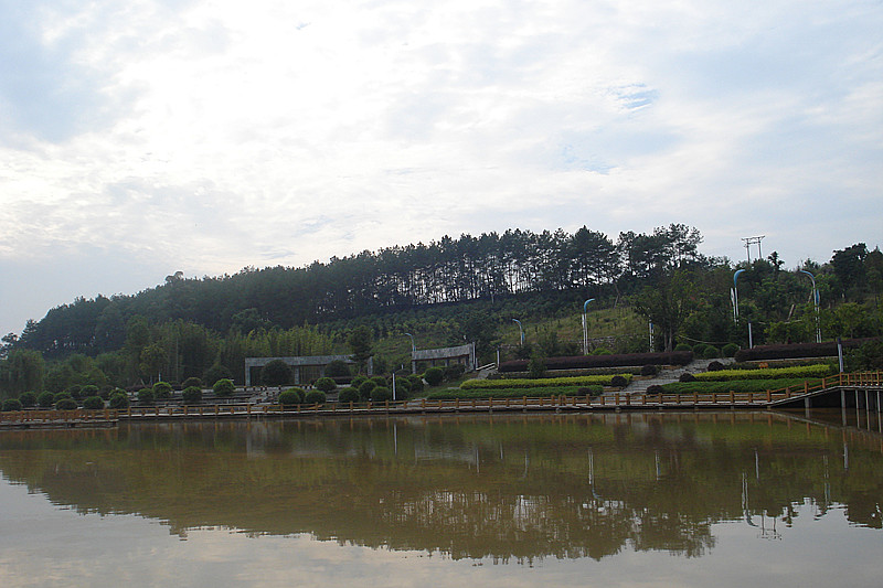 DSC00207_.jpg