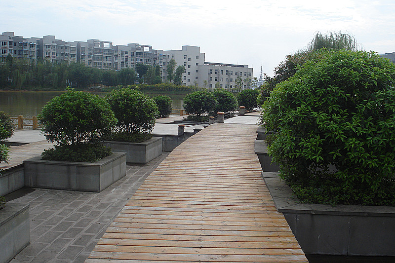 DSC00203_.jpg