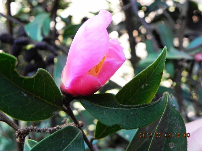 DSCN1672.jpg
