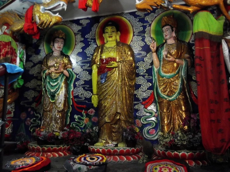 DSCF1230.JPG
