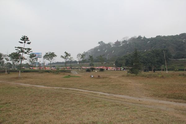 Ƭ 162.jpg
