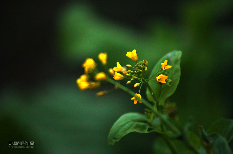DSC_0847.jpg