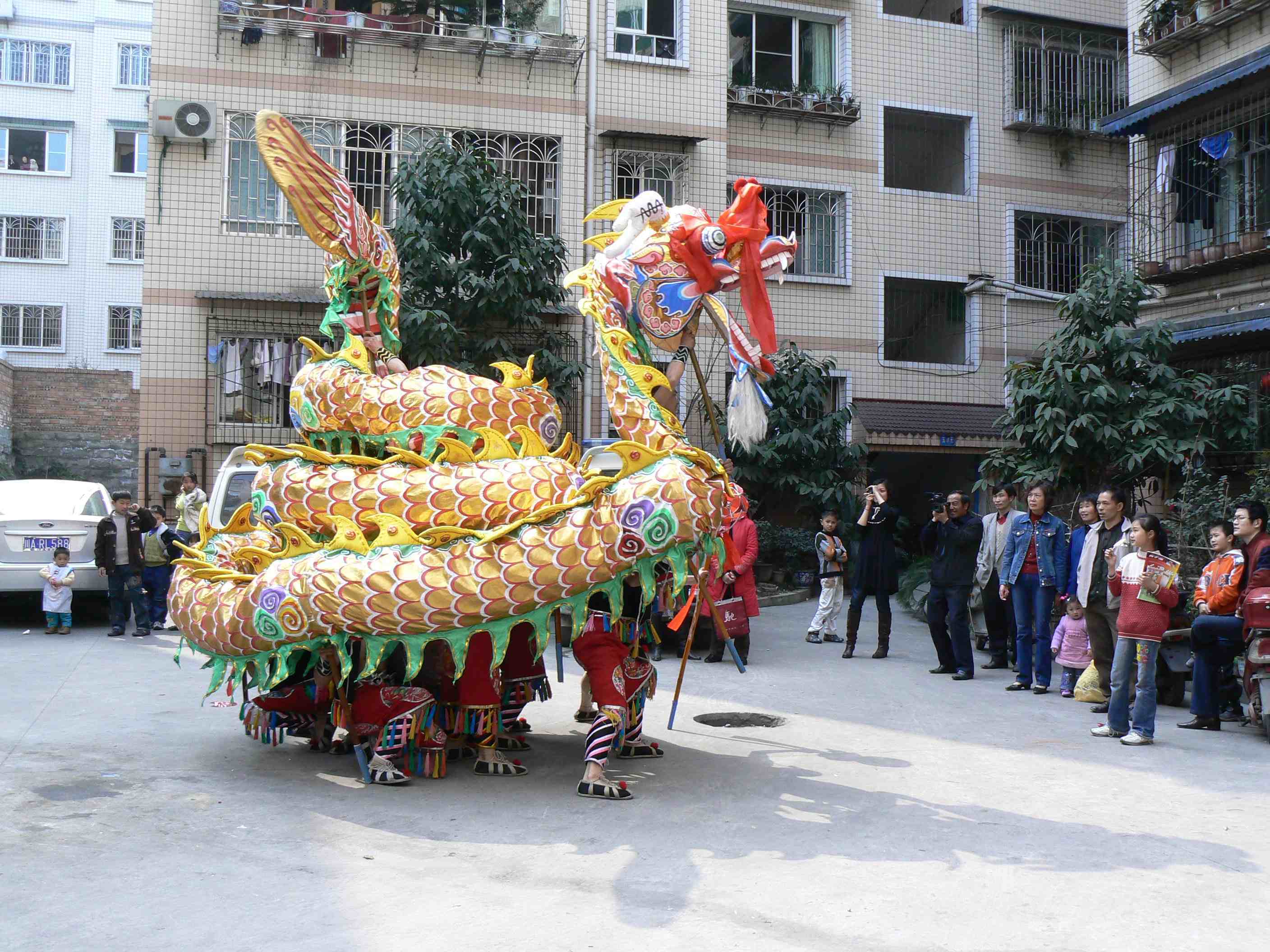 P1000601.JPG
