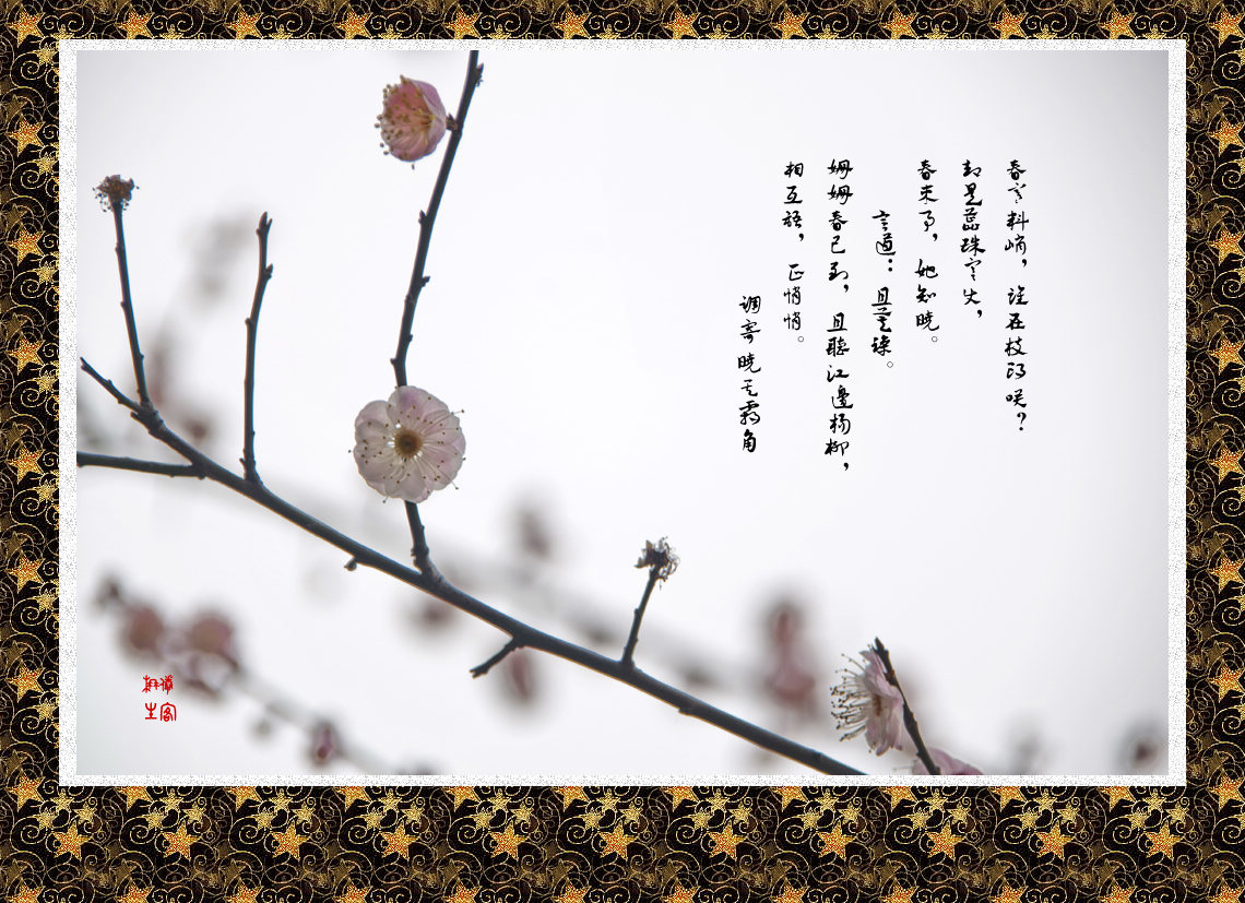  霜天晓角·梅语> 春寒料峭,谁在枝头笑?却是蕊珠宫使,春来事,她知晓.