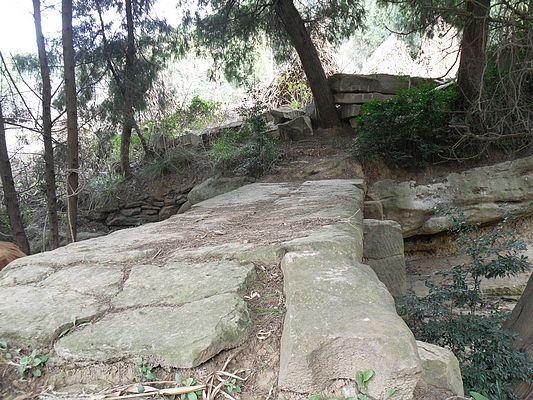 SDC17575.jpg