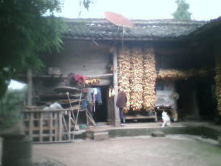 05.JPG