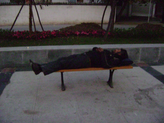 20111110_conew1.jpg