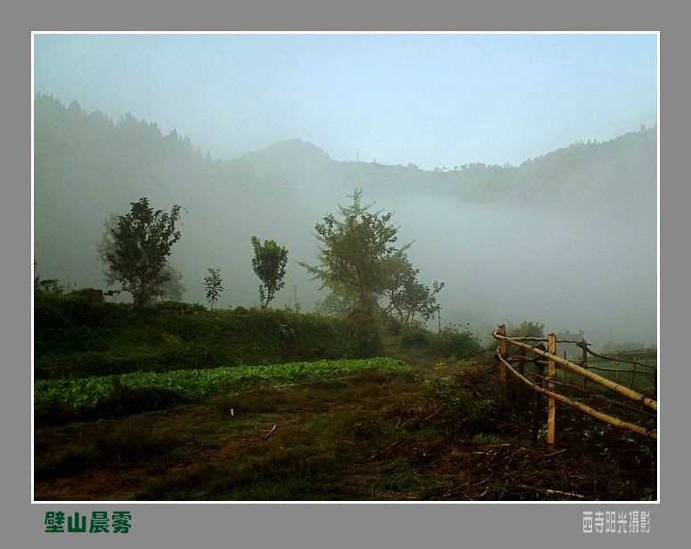 PICT1030_conew2.jpg