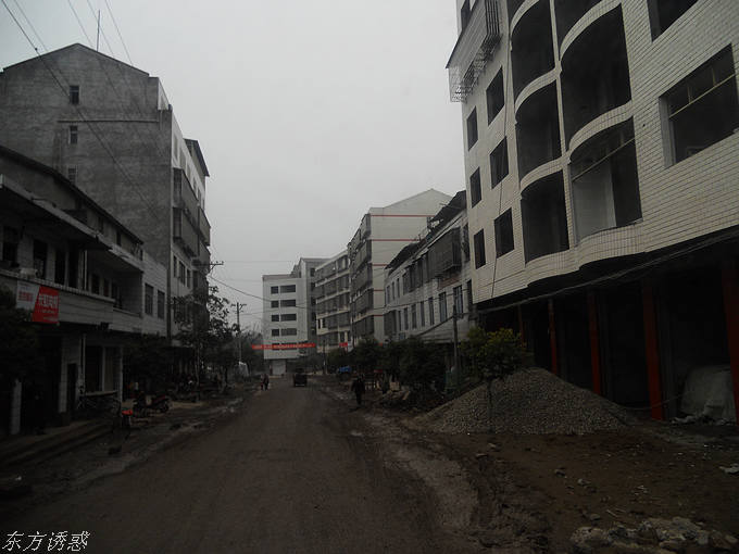 DSCN1572.jpg