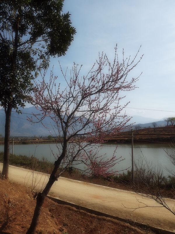 DSCF0390.jpg