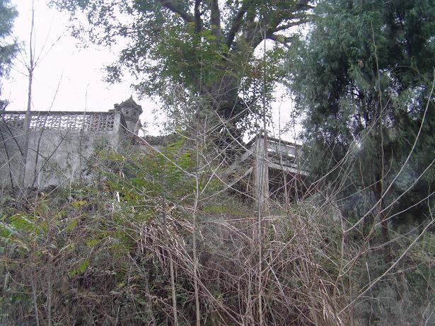 AMBA3658.JPG