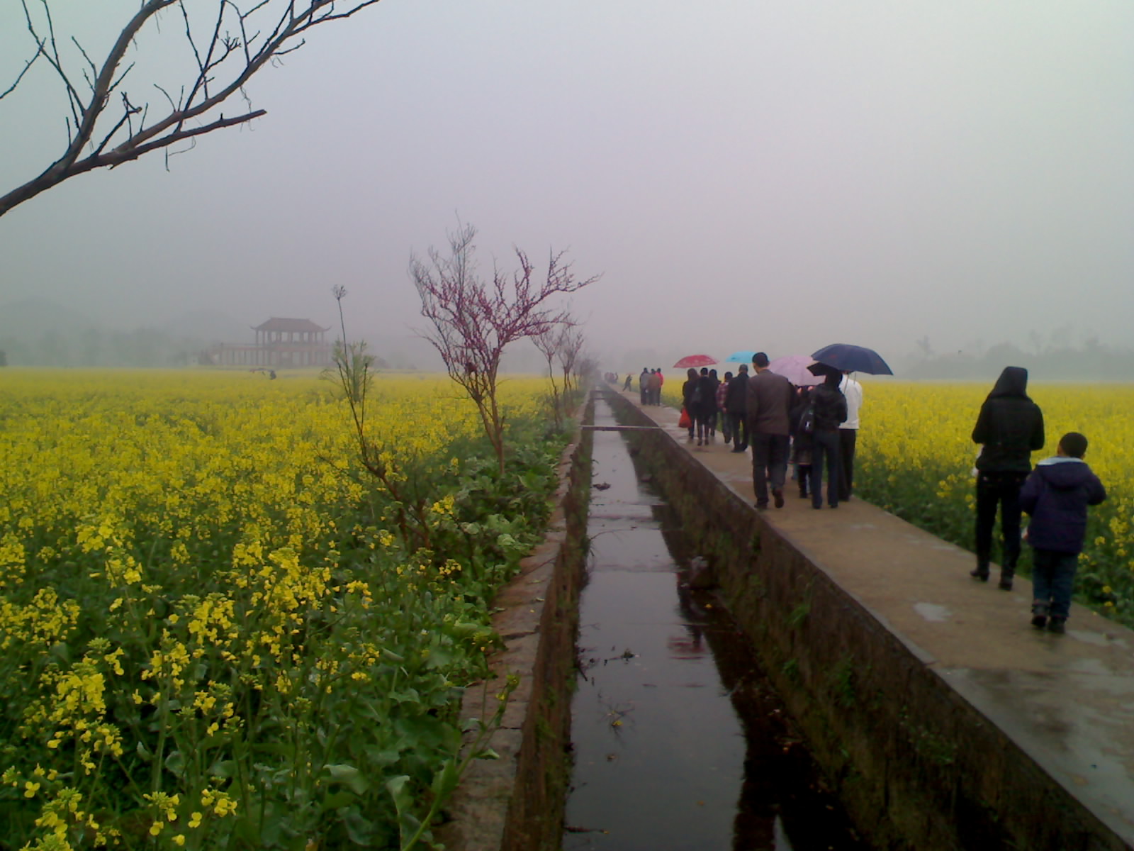 20110814025101041.jpg
