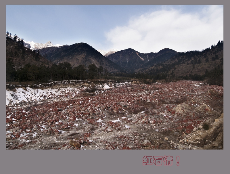 DSC_1615.jpg