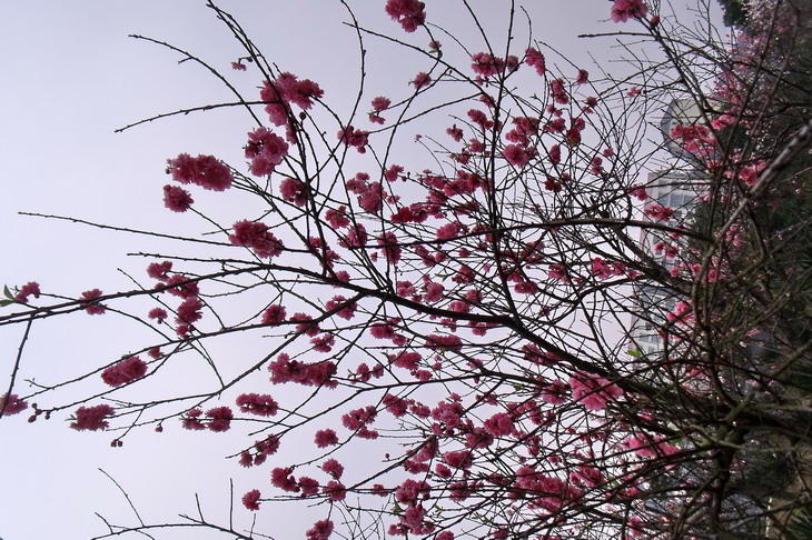 DSCF2560_СС.jpg
