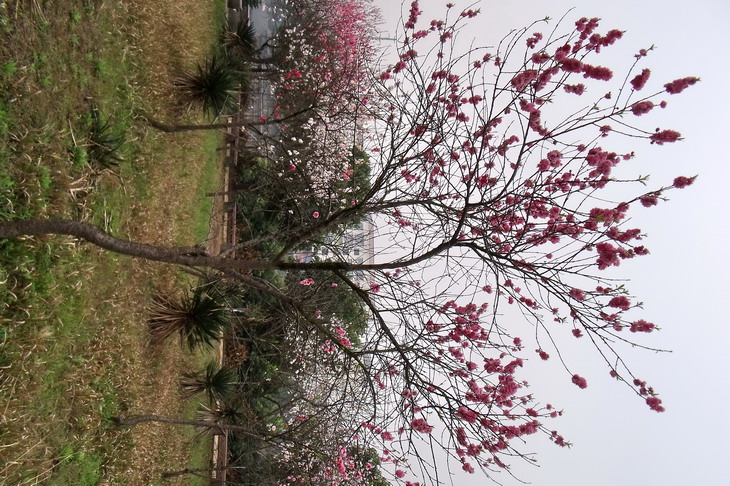 DSCF2568_СС.jpg