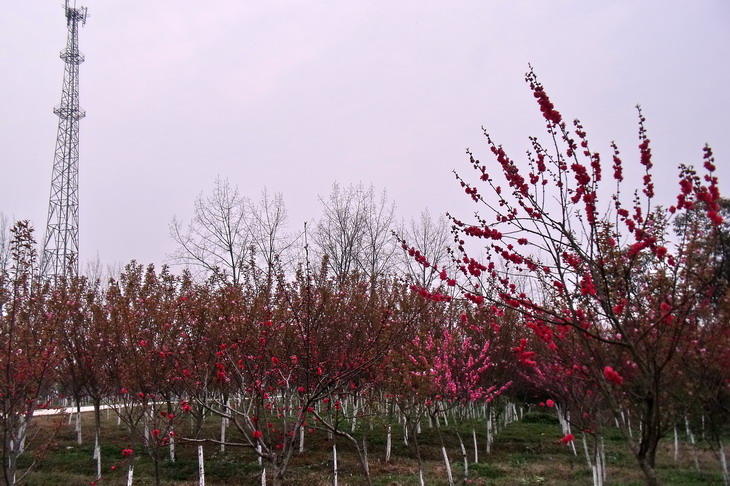 DSCF2640_СС.jpg