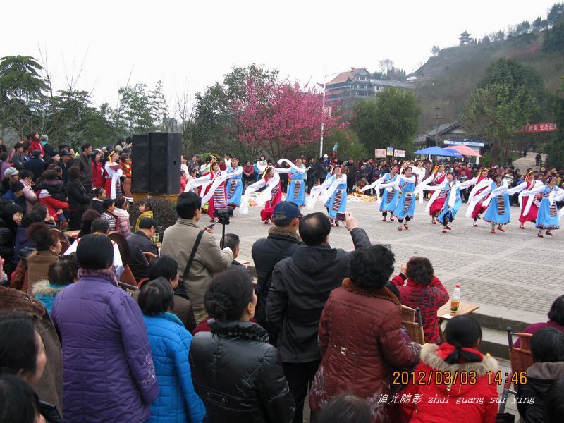 IMG_8737.jpg