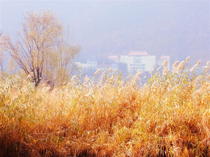 psbCAEP6V80.jpg