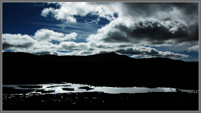 DSC_2779.JPG