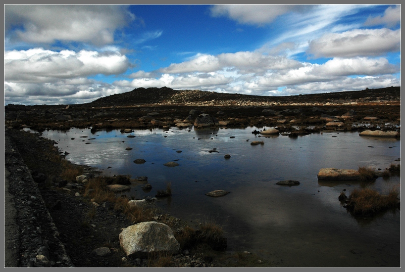 DSC_2820.JPG