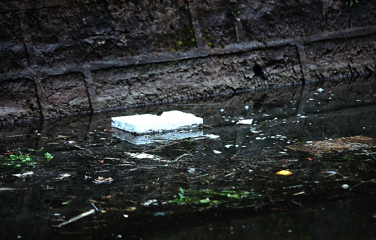 DSC_0032.jpg