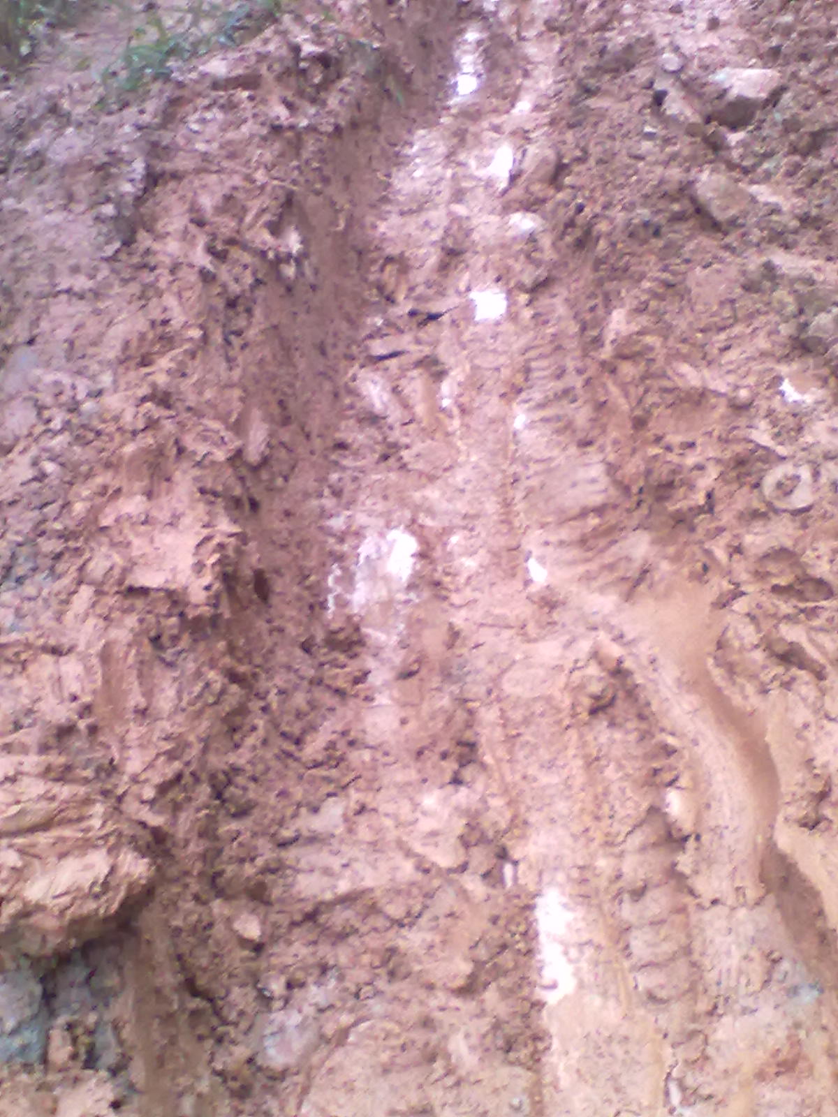 20120119075.jpg
