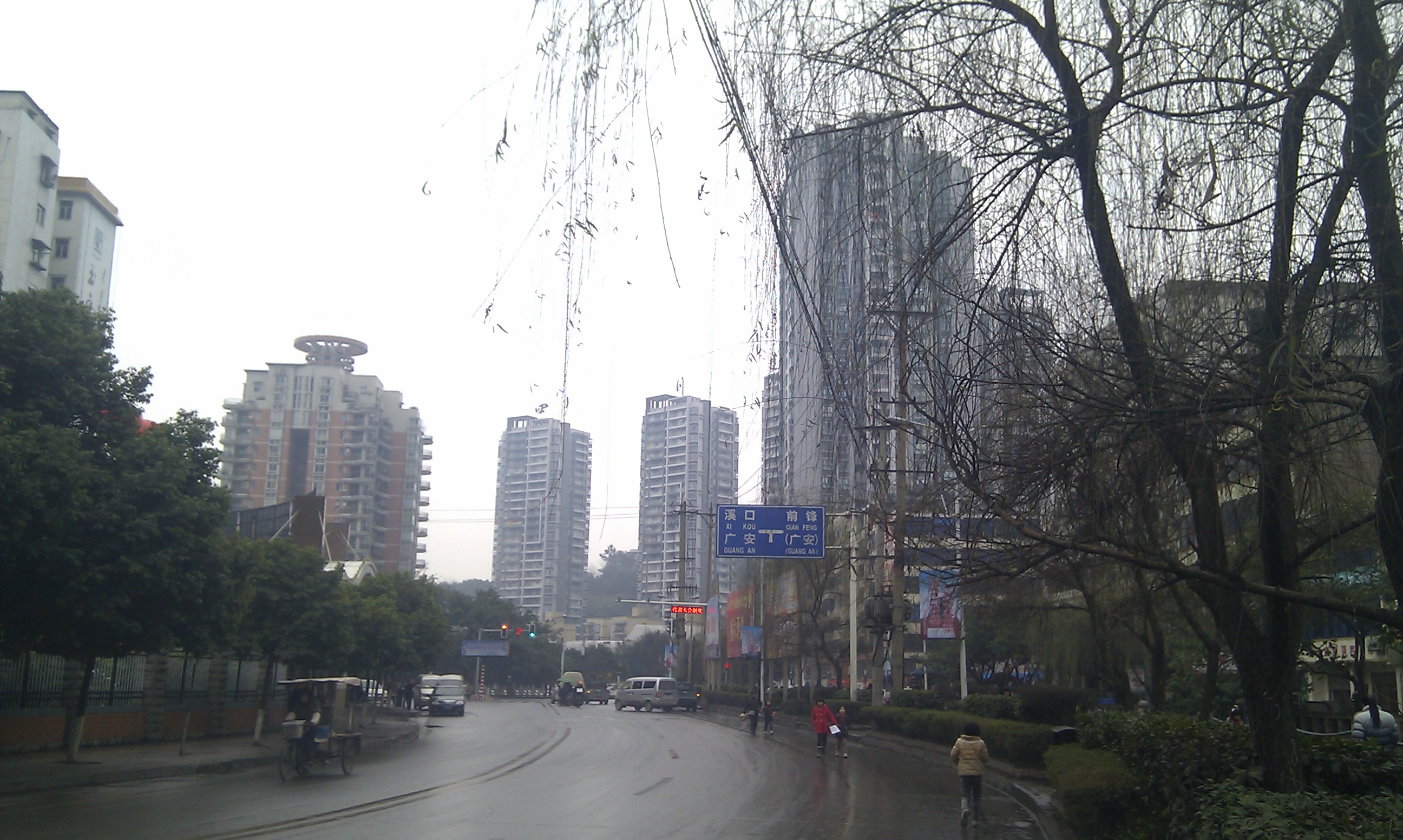 IMAG0095.jpg