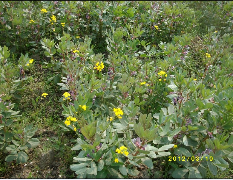 4ASGCA56Q(][L(PLHM1%IHB.jpg