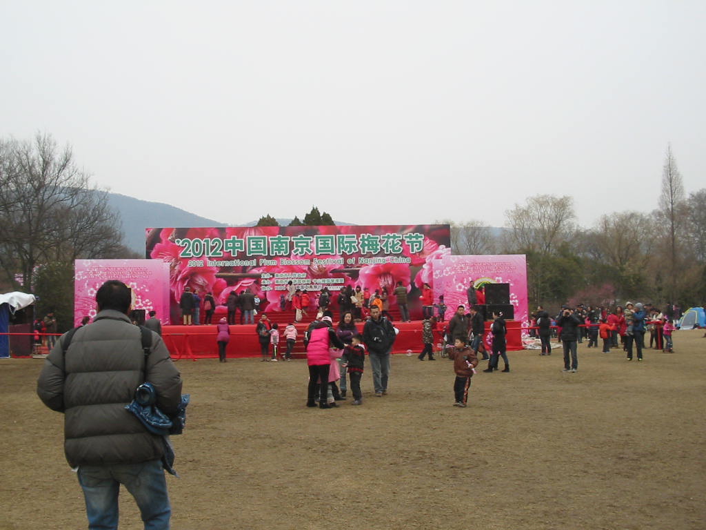 IMG_1335.jpg