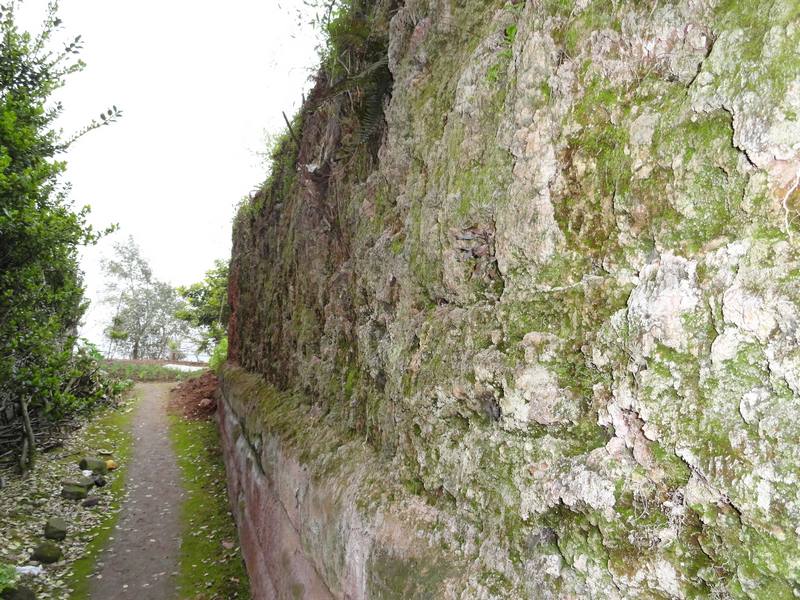 DSC00768.JPG