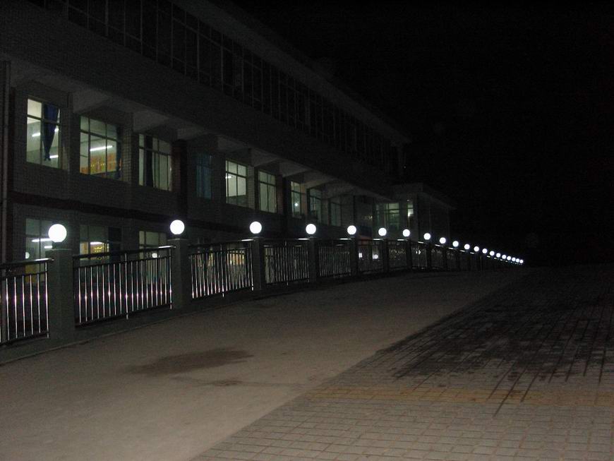 SNV10041.JPG