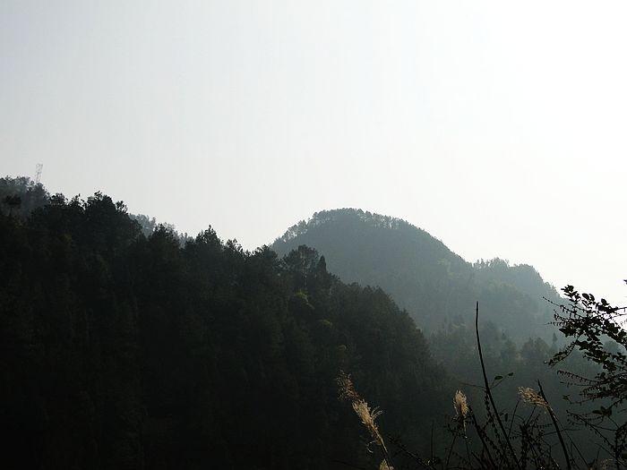 DSC05715.jpg