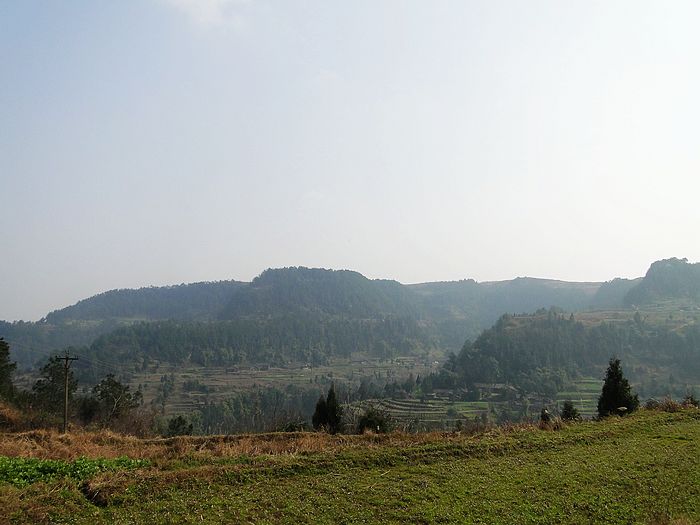 DSC05725.jpg