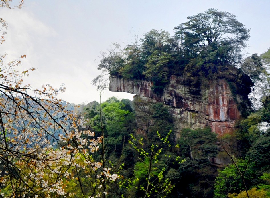 天台山,春韻-走遍四川-麻辣社區